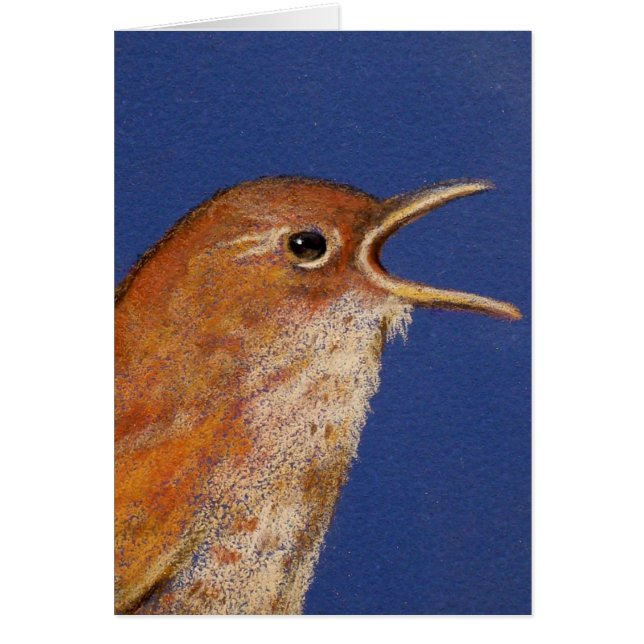 SINGING WREN (Front)