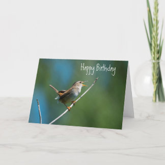 Singing wren greeting card