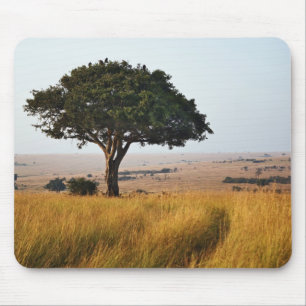 Single acacia tree on grassy plains, Masai Mara, Mouse Pad