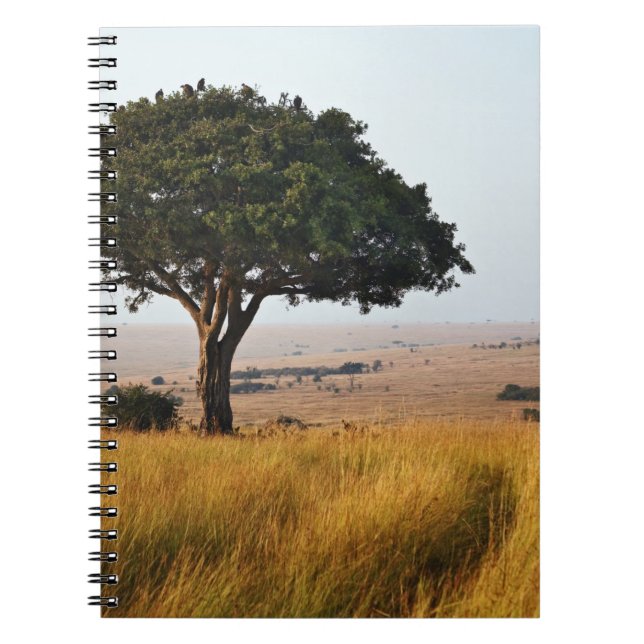 Single acacia tree on grassy plains, Masai Mara, Notebook (Front)