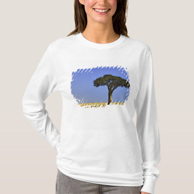 Single Acacia tree on grassy plains, Masai Mara, T-Shirt (Front)