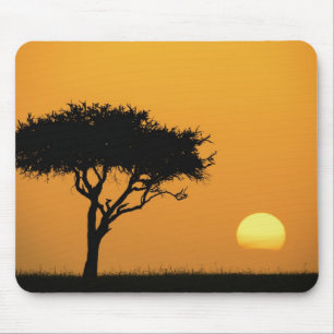 Single Acacia tree silhouetted at sunrise, Masai Mouse Pad