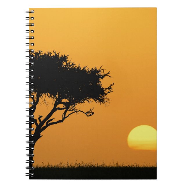 Single Acacia tree silhouetted at sunrise, Masai Notebook (Front)