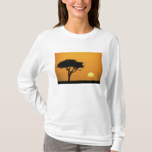 Single Acacia tree silhouetted at sunrise, Masai T-Shirt