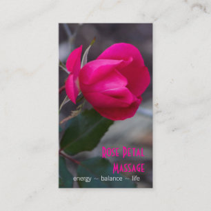 Single Bending Pink Rose Photograph Appointment Card