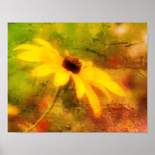 Single Black Eyed Susan Daisy Distressed Art Poster (Front)
