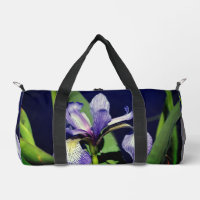 Single Blue Flag Iris Flower Nature 