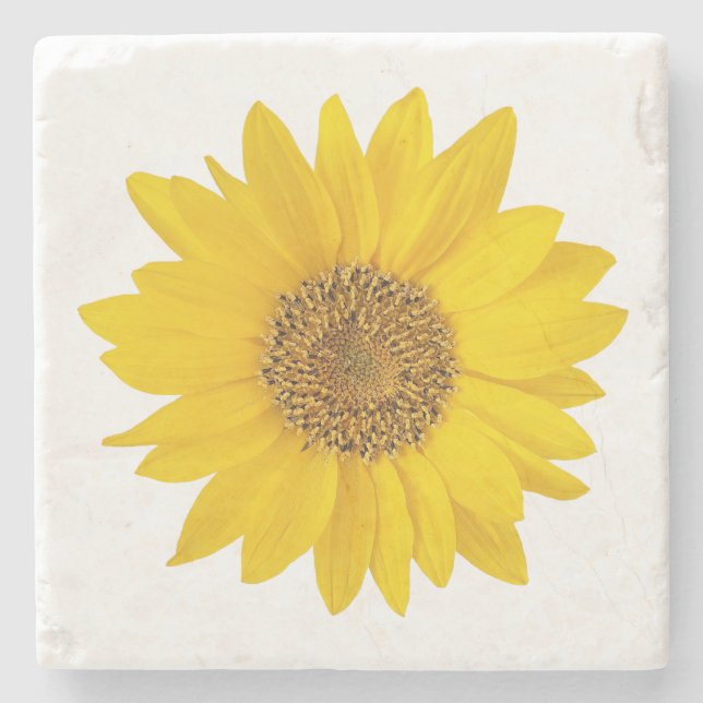 Single Bright Yellow Sunflower Stone Coaster (Front)