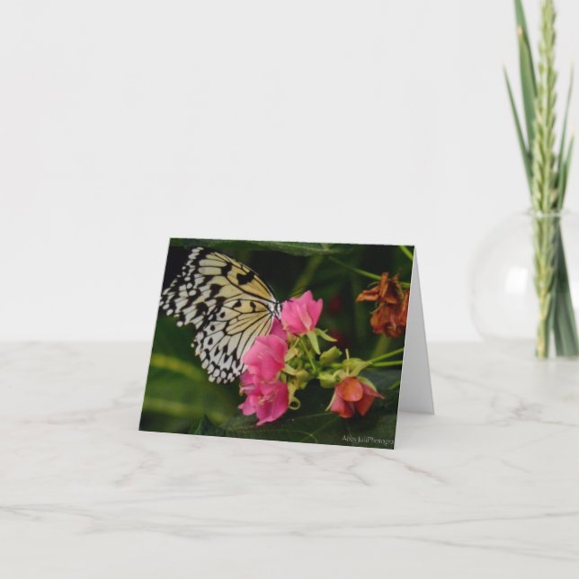 Single Butterfly on Pink Tropical Flowers Holiday Card (Front)