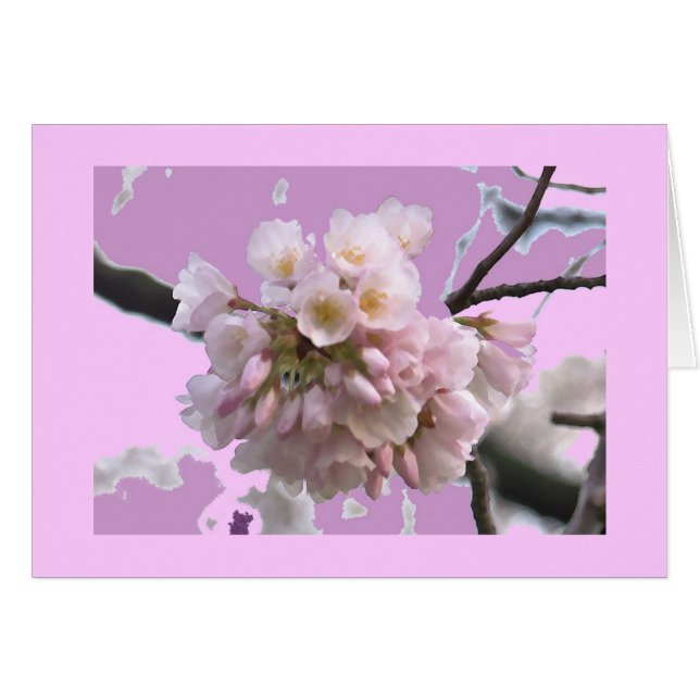 Single Cherry Blossom (Front Horizontal)