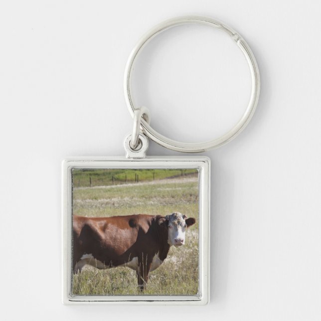 Single Cow In A Field Key Ring (Front)