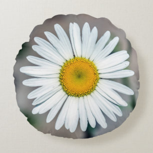 Single Daisy Flower Round Pillow