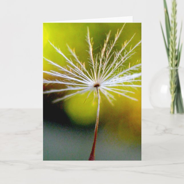 Single Dandelion Seed Poetry of Nature Card (Front)