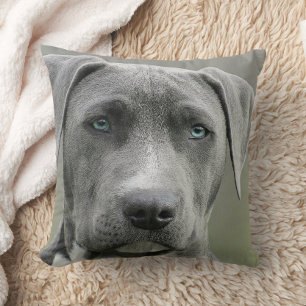 Single Dog Photo Pet Memorial Pet Loss Remembrance Cushion