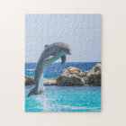 Single Dolphin Jumping