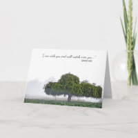 single green tree in mist sympathy