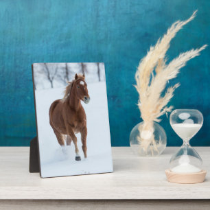 Single Horse Running in Snow Plaque