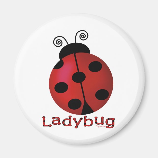 Single Ladybug Magnet (Front)