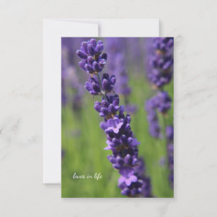 Single Lavender Stem Card