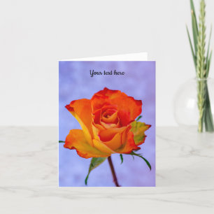 Single Orange and Yellow Rose Greeting Card