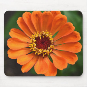 Single Orange Flower Mouse Pad