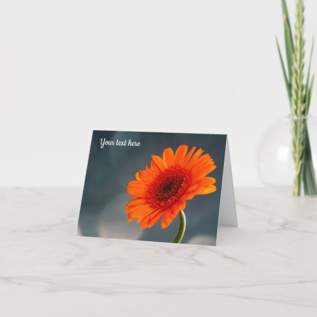 Single Orange Gerbera Greeting Card (Front)