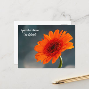 Single Orange Gerbera Postcard