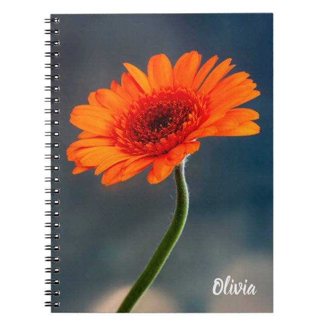 Single Orange Gerbera Spiral notebook (Front)
