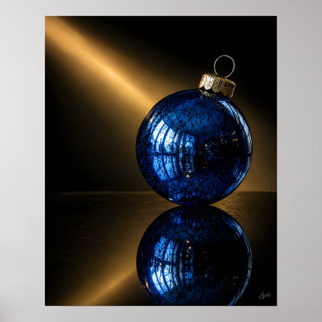 Single Ornament Reflection Pool Poster (Front)