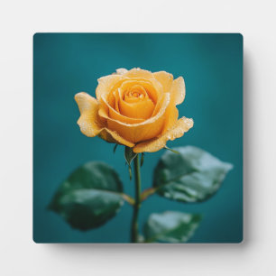 Single Peach Rose Plaque