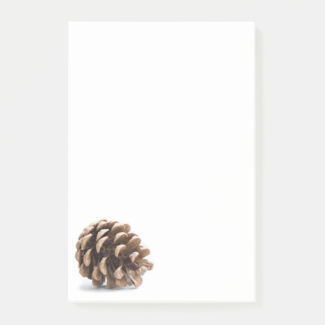 Single pinecone post-it notes (Front)