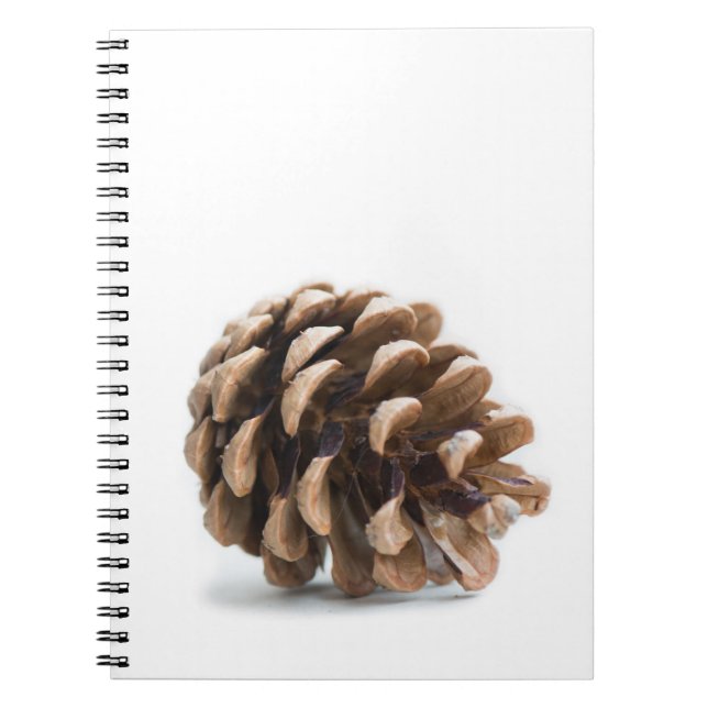 Single pinecone spiral notebook (Front)
