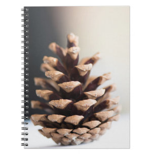 Single pinecone spiral notebook