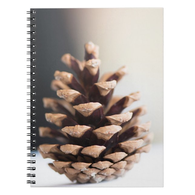 Single pinecone spiral notebook (Front)