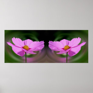 Single Pink Cosmos Flower Mirror Abstract Poster