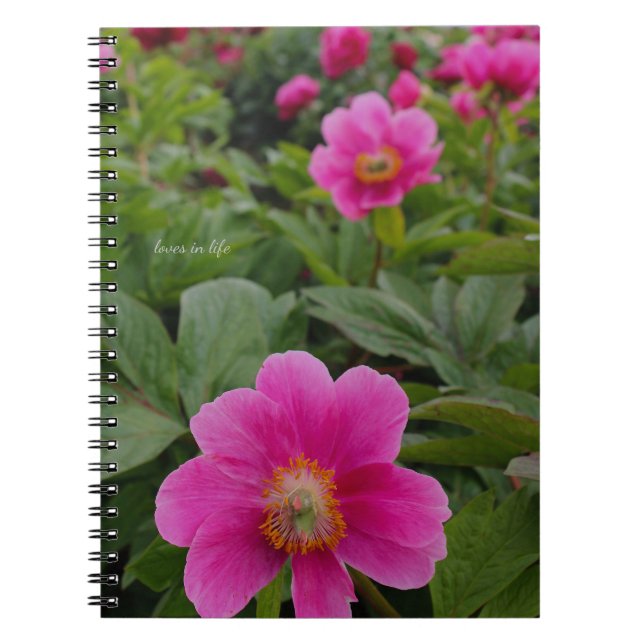 Single Pink Peonies Notebook (Front)