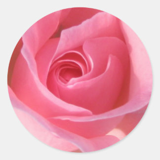 Single Pink Rose Classic Round Sticker