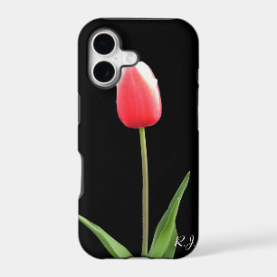 single pink tulip flower