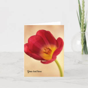Single Pink Tulip Greeting card