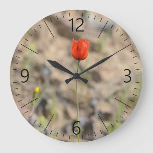 Single poppy flower large clock