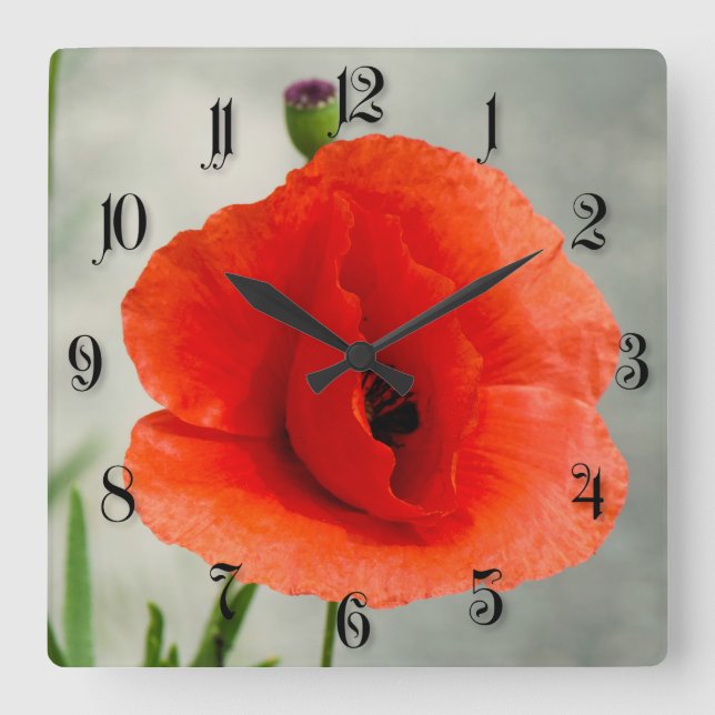 Single poppy flower photo square wall clock (Front)