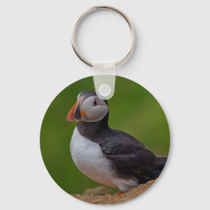 Single Puffin Key Ring