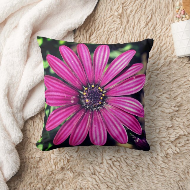 Single Purple African Daisy Flower   Cushion (Blanket)
