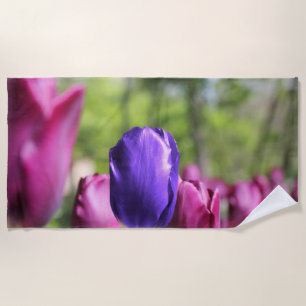 Single Purple Tulip Beach Towel