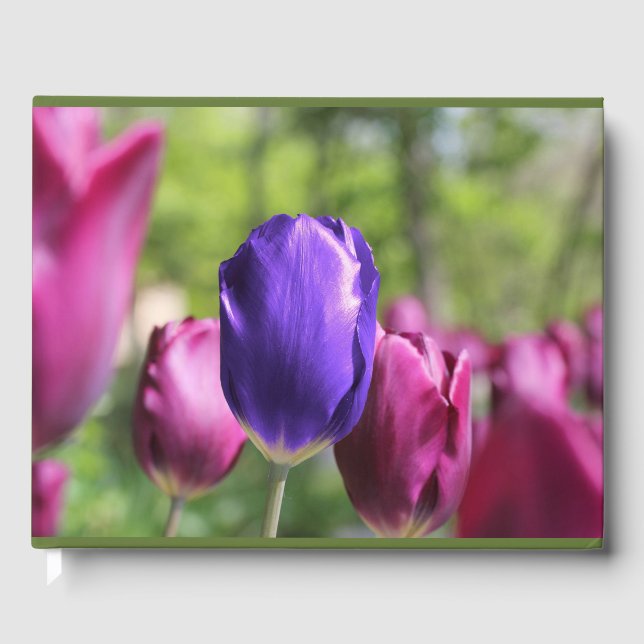 Single Purple Tulip Guest Book (Front)