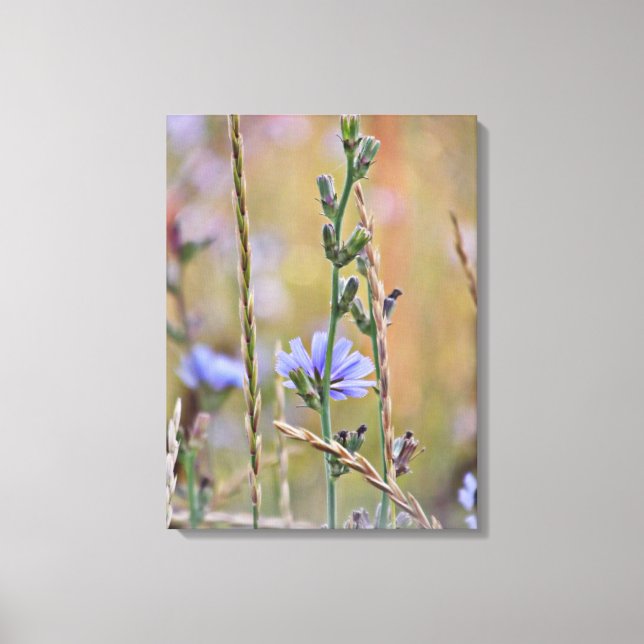 Single Purple Wildflower - Wrapped Canvas (Front)