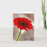 Single Red Gerbera Folded Greeting Card