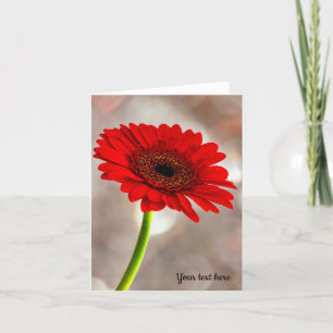 Single Red Gerbera Folded Greeting Card