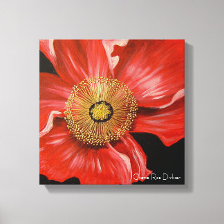 Single Red Poppy Canvas Print