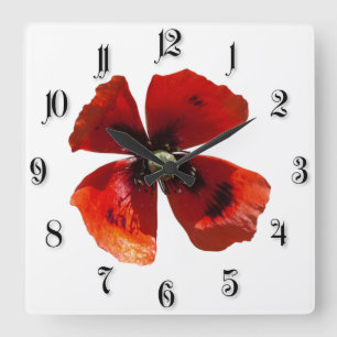 Single red poppy flower square wall clock